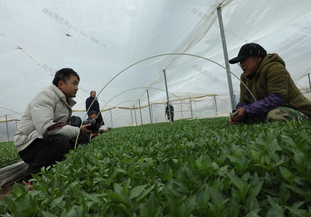 新春走基层  记者采访忙