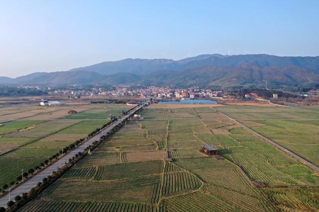 田园  乡村 道路  画卷  美丽  早春
