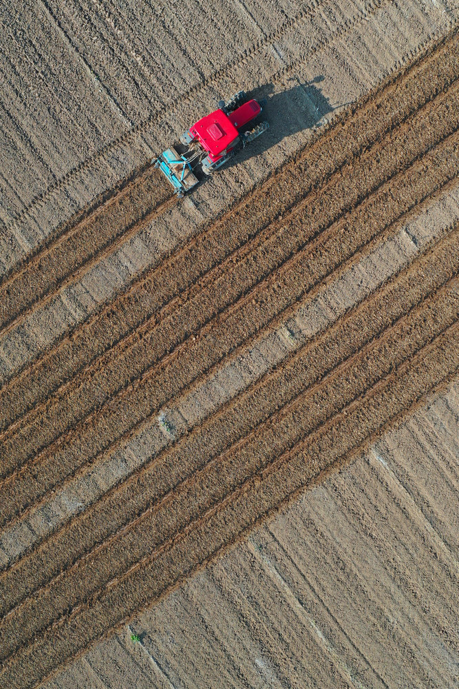 嘉禾：春耕备耕忙