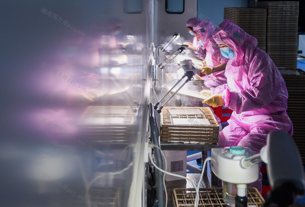 开工
企业
工业
道县