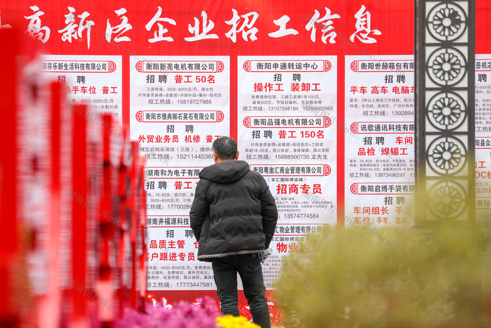 求职  招聘会 春风行动