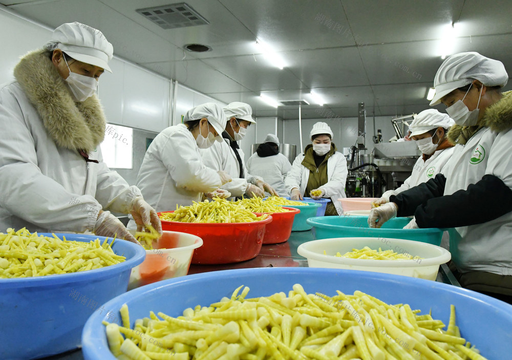 复工 复产 企业 节后  开门红
