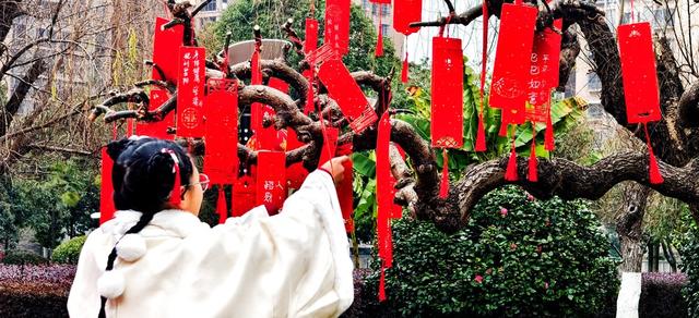 开启闹元宵模式，株洲市民打卡文化园