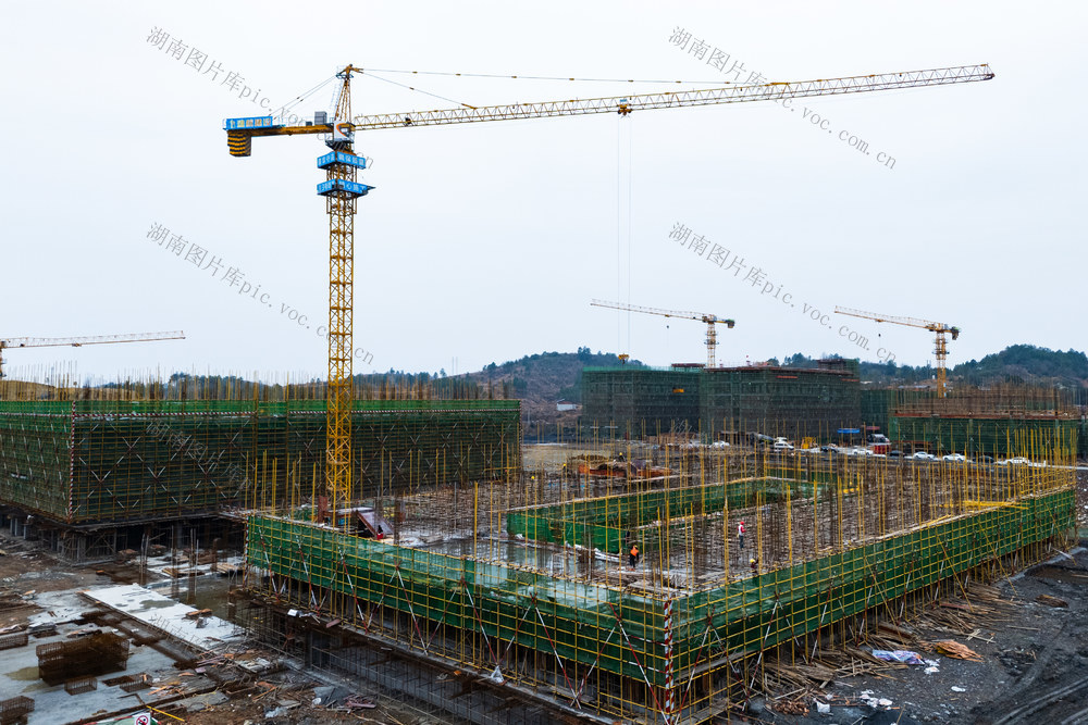 重点项目建设忙 学位建设 职业教育