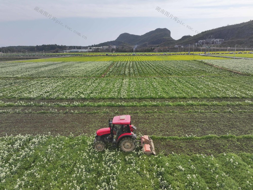 三农
春耕
备耕
道县