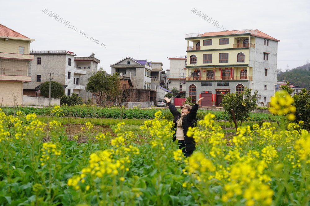 2月8日，湖南省隆回县三阁司镇沙坪村，油菜花渐次开放，构成一幅美不胜收的田园画卷。 