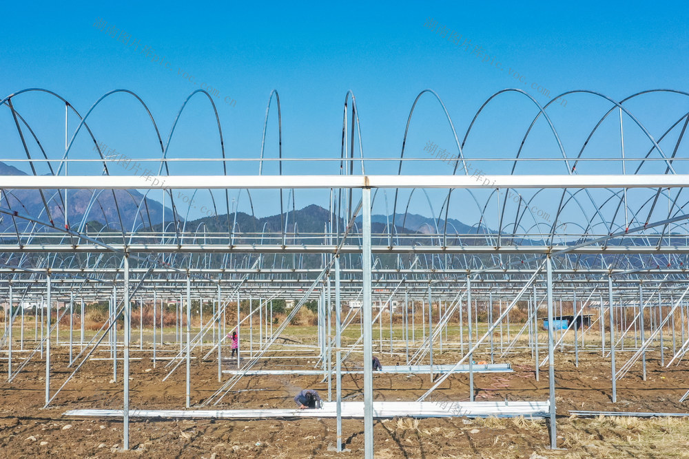 育秧大棚 春耕 农业 建设 粮食 三农