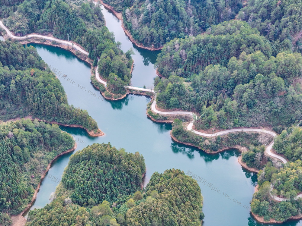 湿地、生态、自然、春日、湿地公园