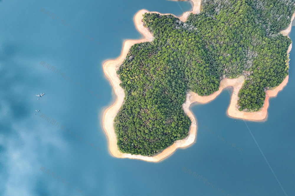 水库 湿地 生态 碧水 春色 绿 