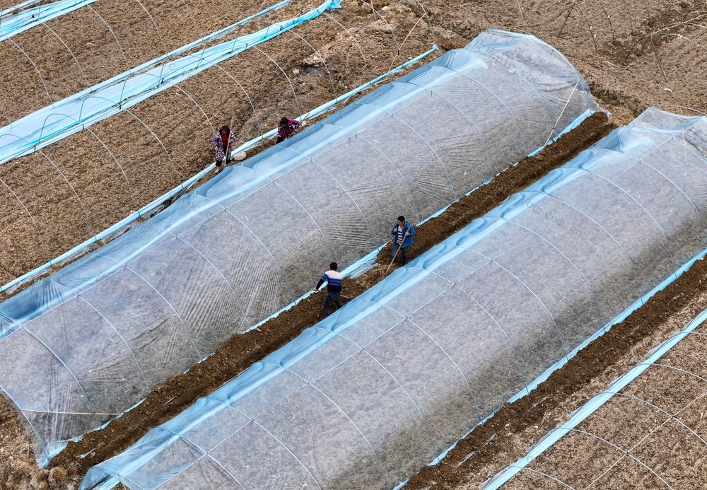 农业、春耕、农忙、生产、种植