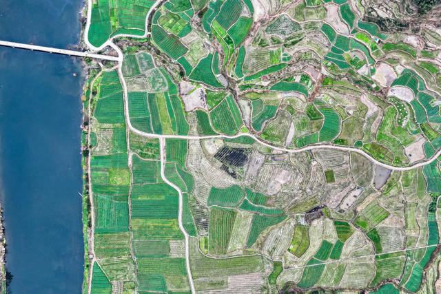 田园 田 油菜花 河流 乡村