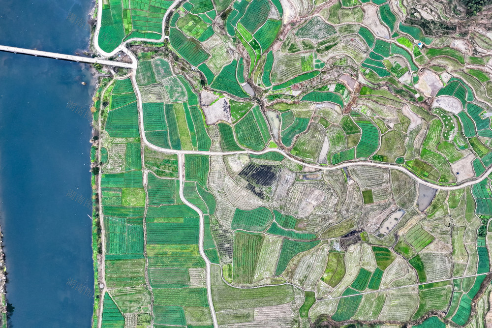 田园 田 油菜花 河流 乡村