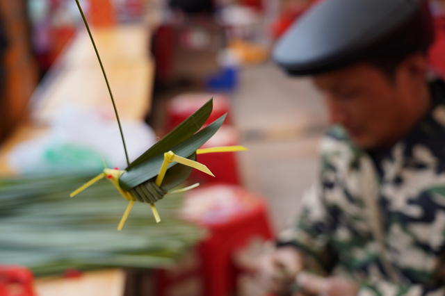 蛇、螳螂、老鼠、蝴蝶，各种动物栩栩如生。2月11日，刘拥均编织的棕艺品畅销邵阳市城南公园。刘拥均家住邵阳县小溪市镇，他利用当地棕叶资源丰富这一优势，专门从事棕叶手工编织，棕艺品畅销市场。