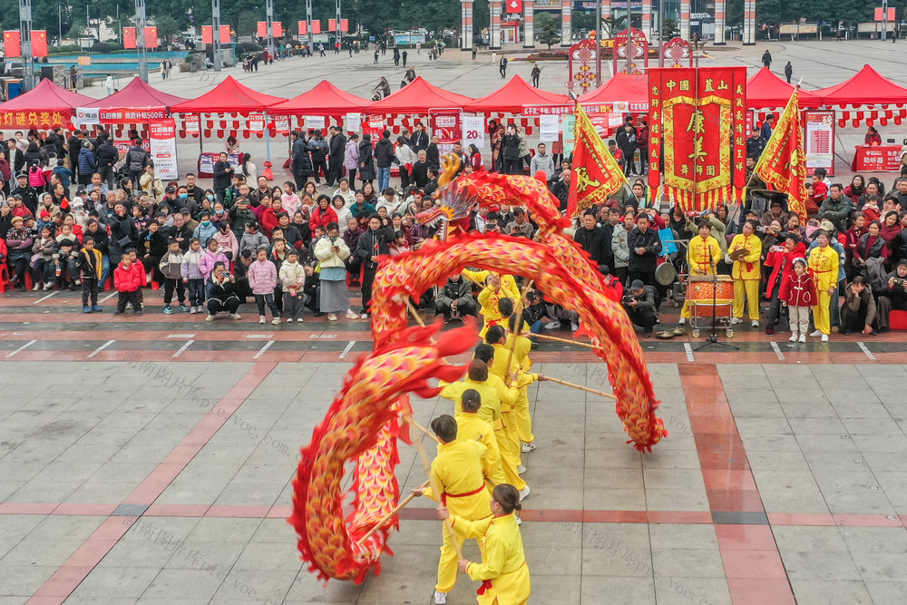 元宵 舞狮 舞龙 民俗 表演 节日