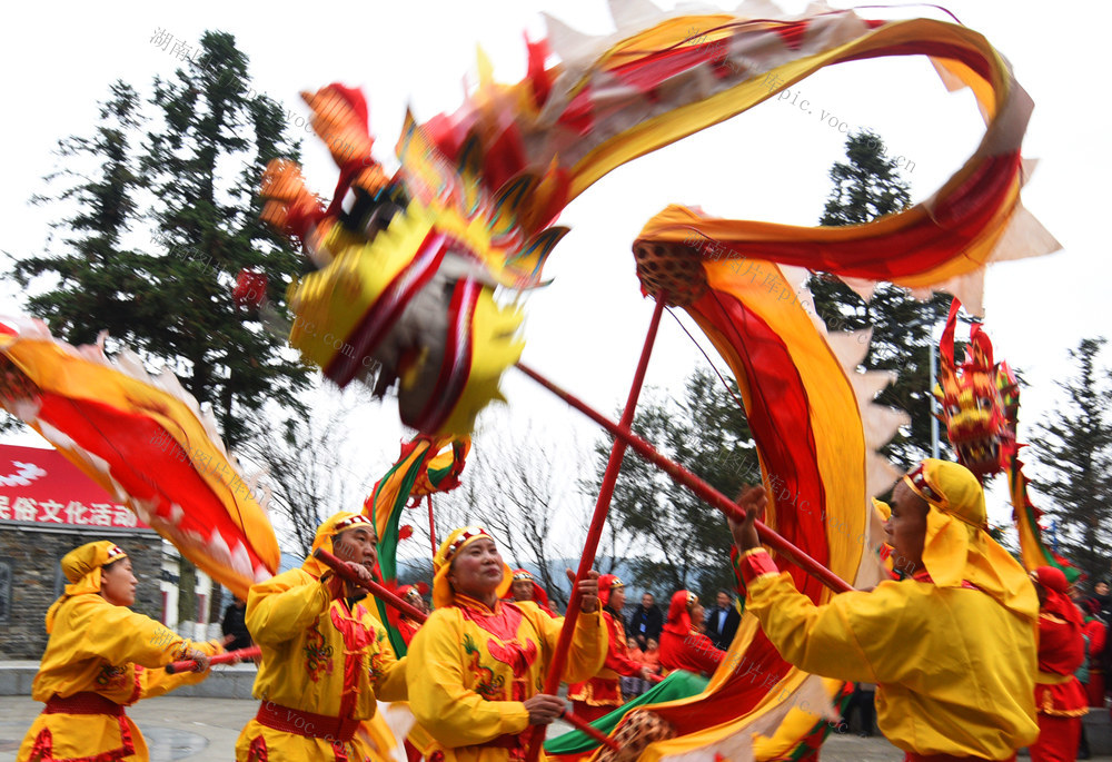 嘉禾：舞龙祈福闹元宵