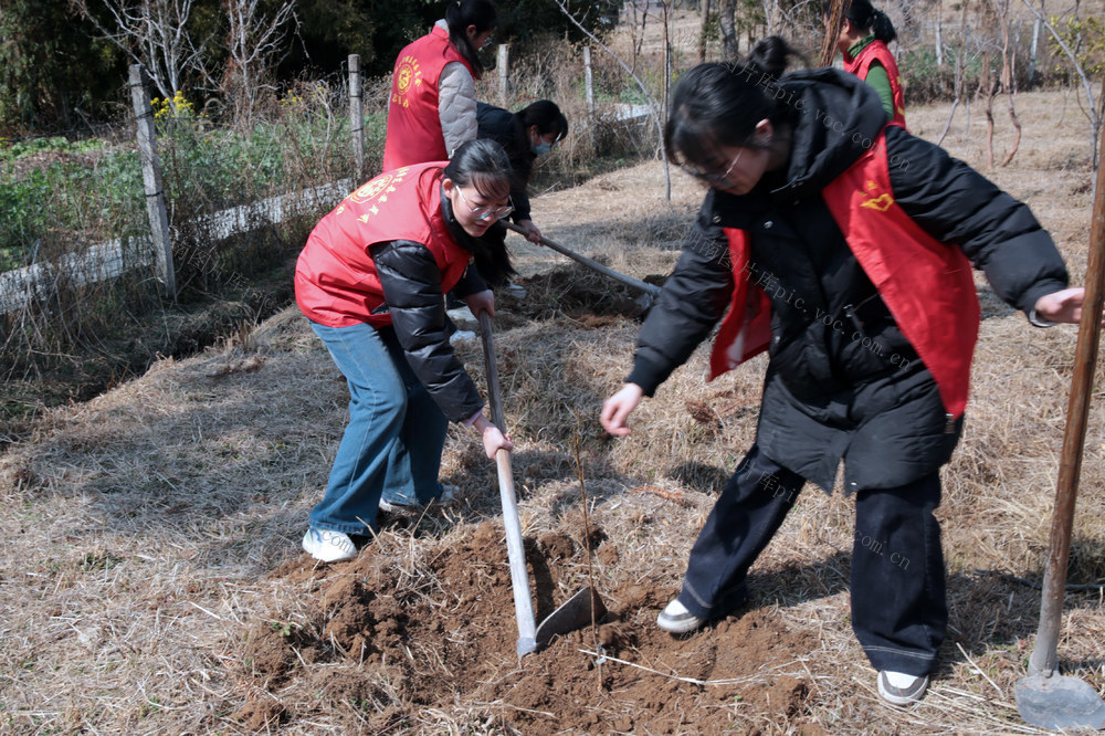 湖南桂东：呵护青山绿水 建设生态家园