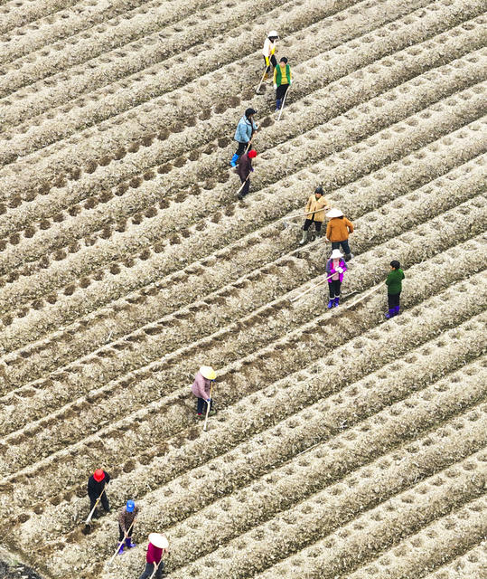 农作物
农事
道县