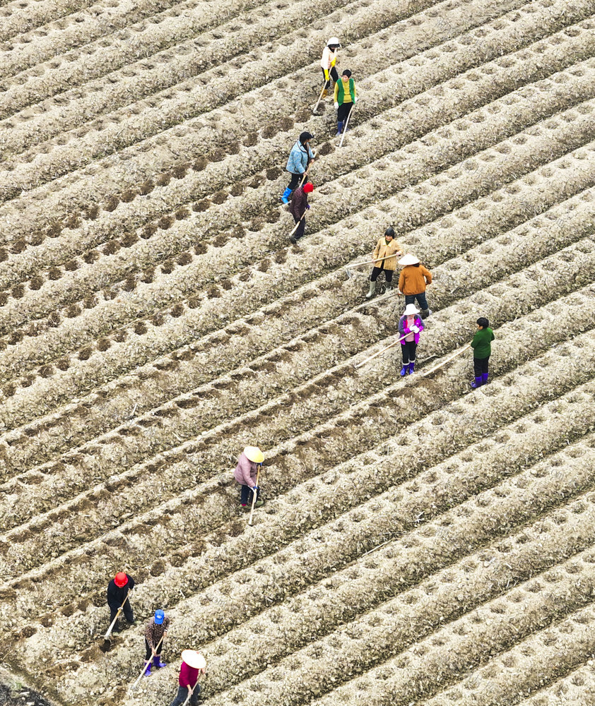 农作物
农事
道县