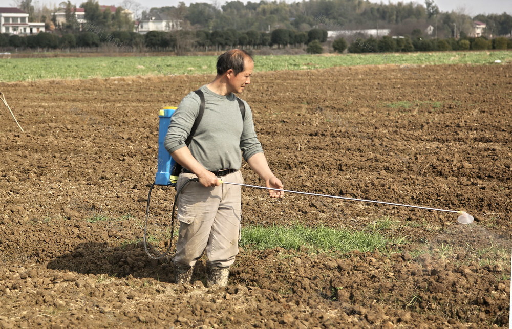 特色囗种植囗效益口好