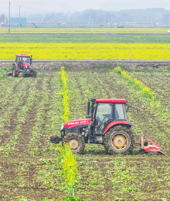 春耕备
备耕
道县