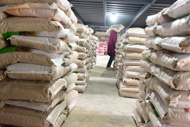 春耕生产  早稻育秧  种子准备
