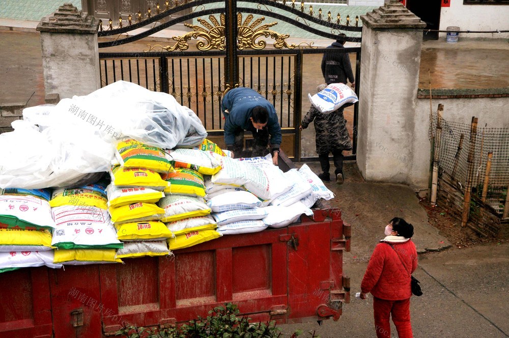 农资  深冲 春耕