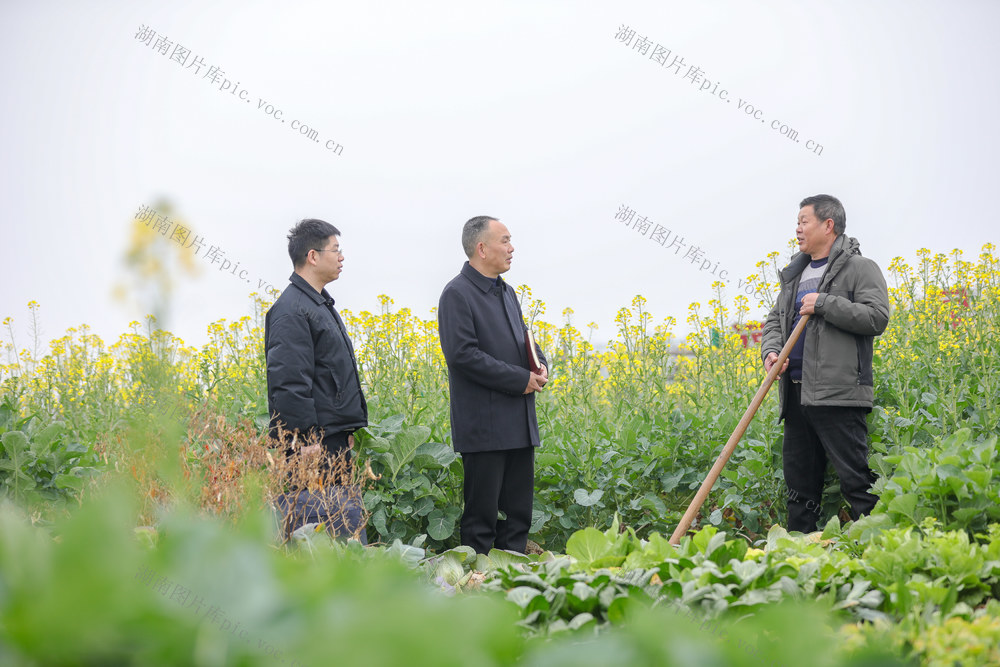纪检 田间地头 护春耕 衡阳