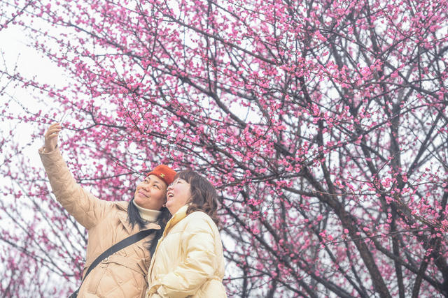 梅华
道县