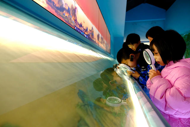 艺术游学，艺术游学受欢迎