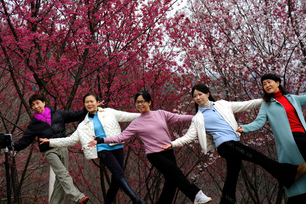 鸟语花香，春色美，湖南省植物园