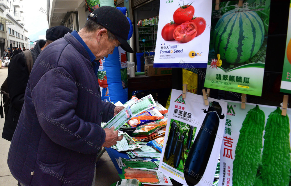 春耕 农民 种子 生产 购销 备耕
