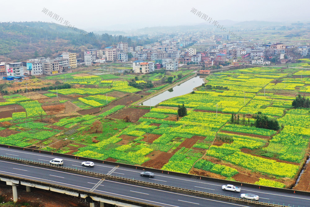 嘉禾：春意盎然乡村美