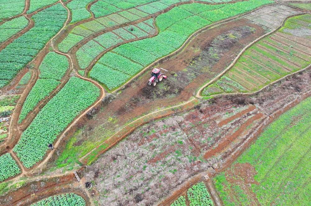 雨水 农事 春耕