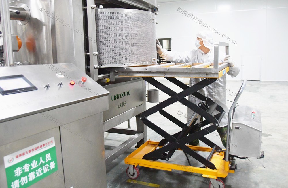 小香芋带动大产业