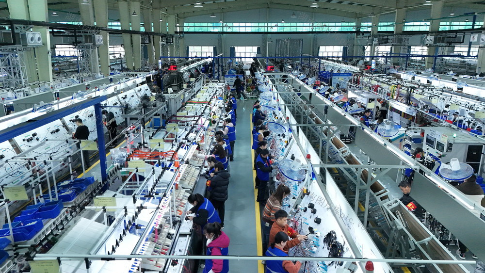 护航民营经济发展*志愿服务队*帮助企业招聘