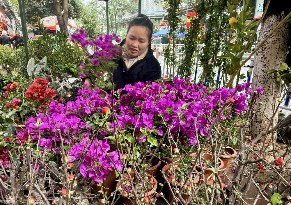 鲜花走俏“春天里”
