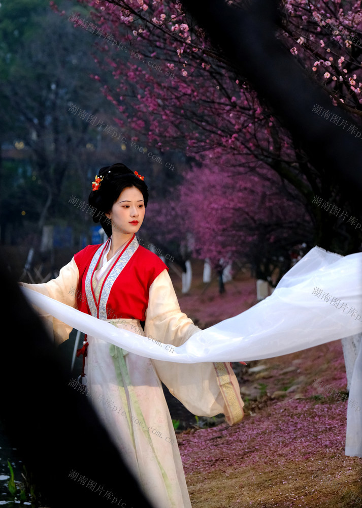 红梅花开，湖南烈士公园