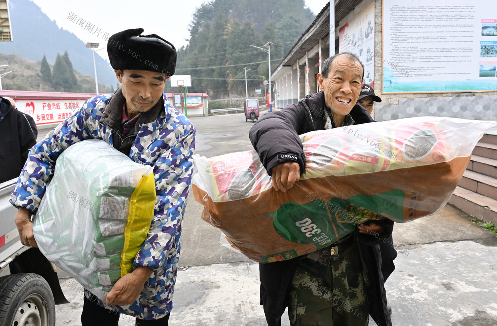 春耕生产　农资　保障　种子