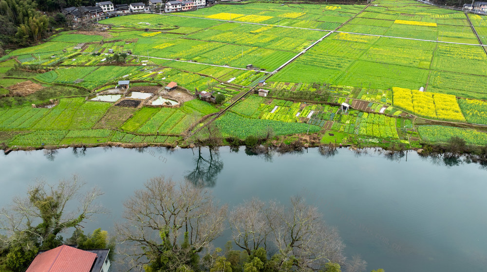 早春 田园 通道侗族自治县