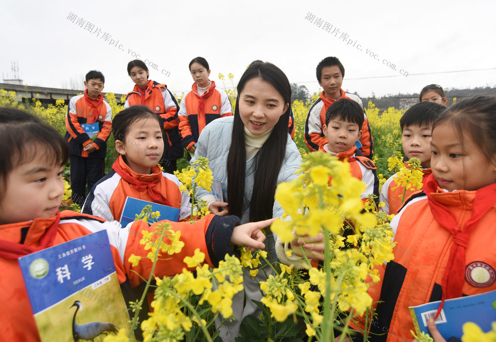 嘉禾：亲近自然学农事