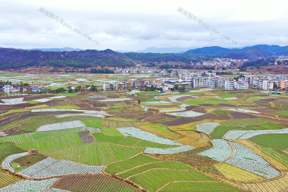 临武：春意浓 乡村美