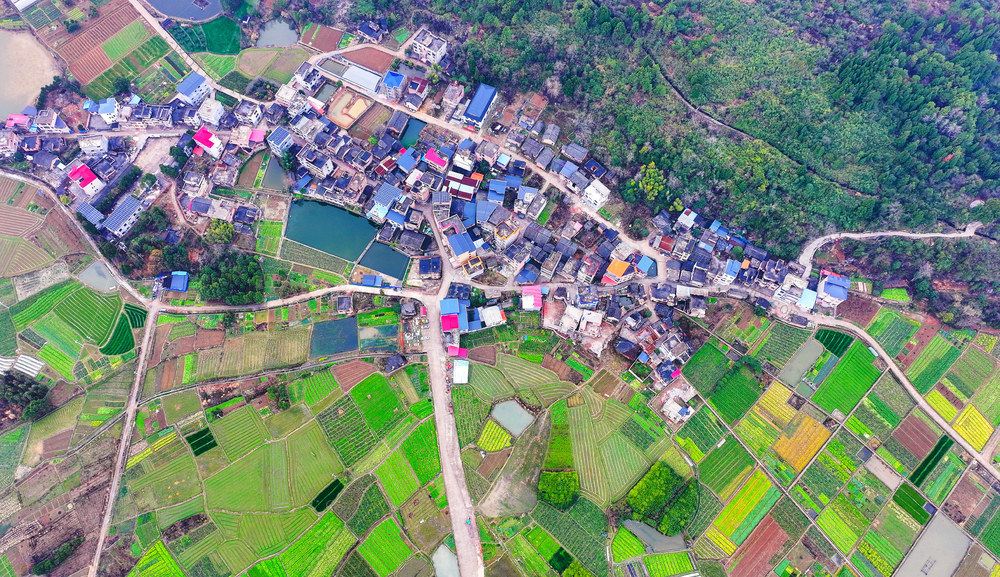 乡村  田园  蔬菜  画卷