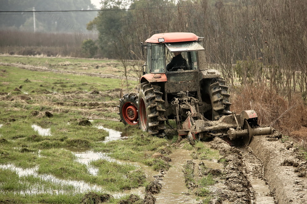 种粮囗大户囗忙囗春耕