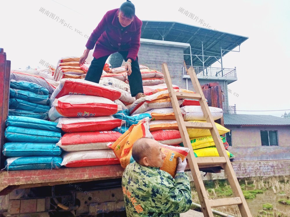 化肥  配送 服务 春耕