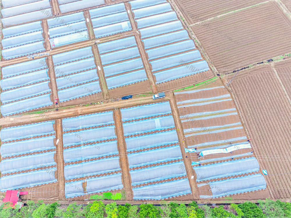 农业生产  春种  三增