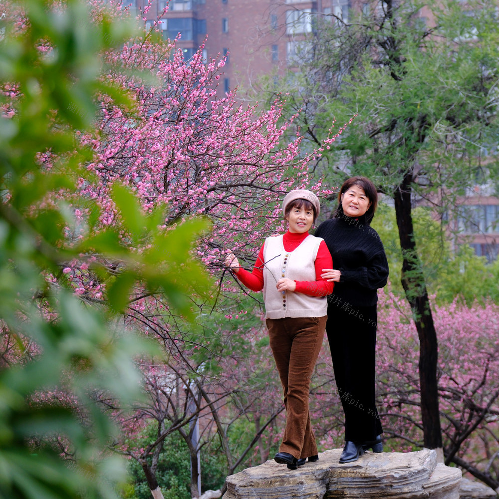 踏青赏花，沙湾公园