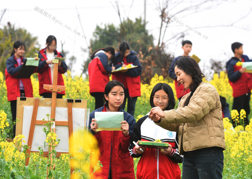 嘉禾：田间课堂绘春光