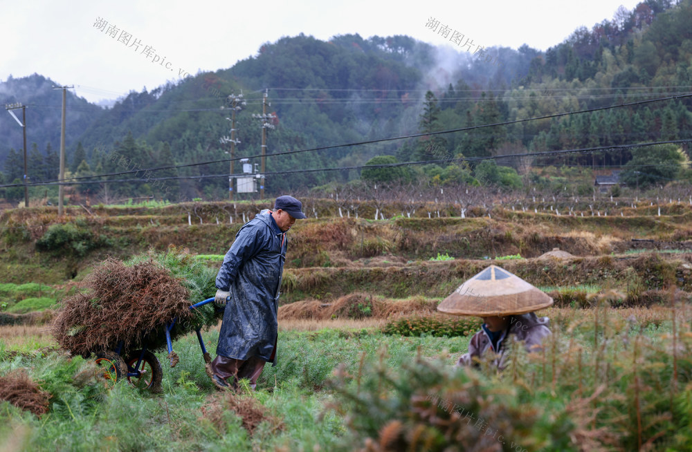 农事
早春 
农民
农业