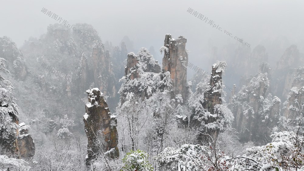 张家界  国家森林公园
春雪  