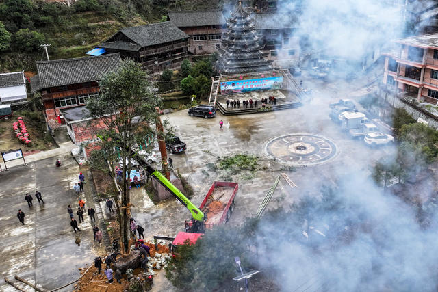 植树 种树 春 党员 绿化